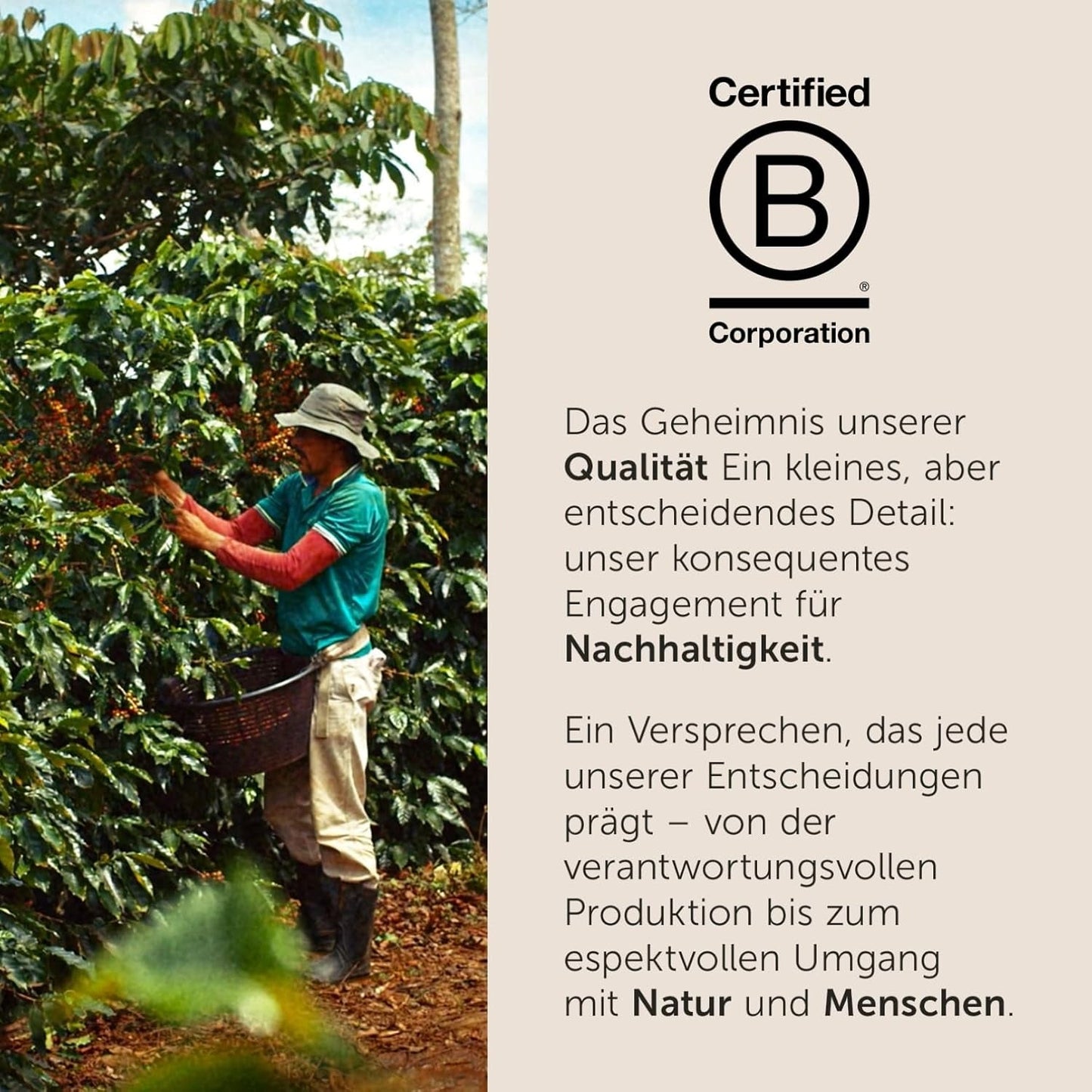 illy, Kaffeebohnen Arabica Selection Costa Rica, 100% Arabica con caramello, note di cioccolato e note di vaniglia, süßer Gesmack, 1 dose da 250 g