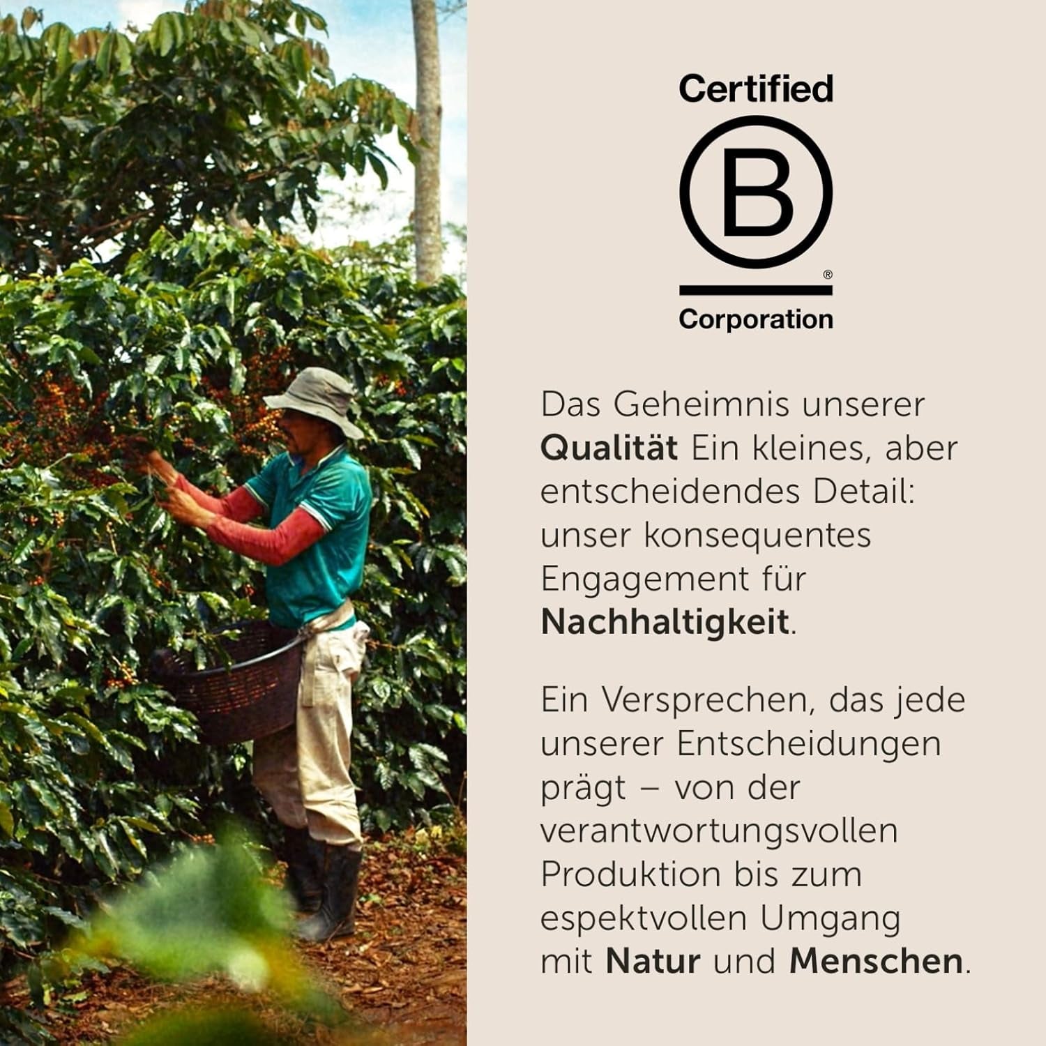 illy, Kaffeebohnen Arabica Selection Costa Rica, 100% Arabica con caramello, note di cioccolato e note di vaniglia, süßer Gesmack, 1 dose da 250 g