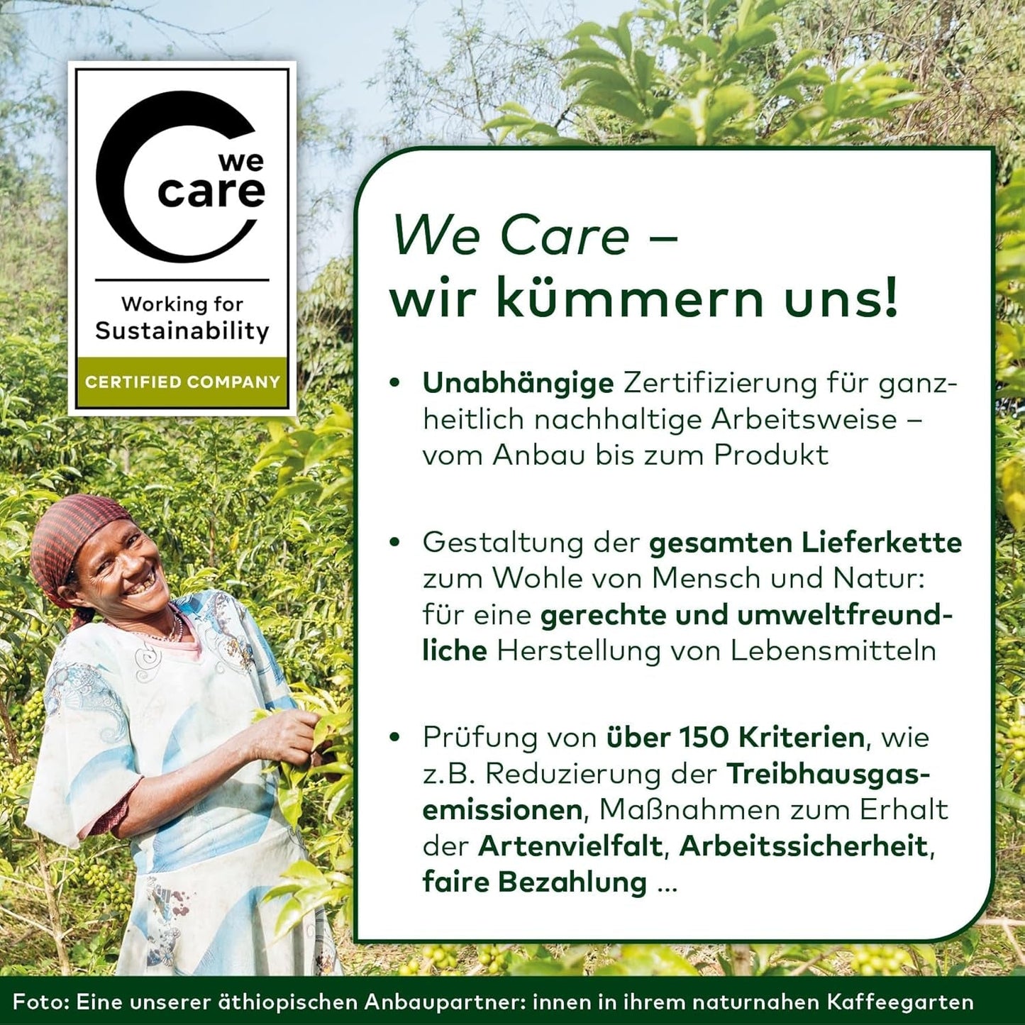 LEBENSBAUM 2x Kaffee Gourmet Klassisch, ganze Bohne, Bio Kaffee aus Arabica-Bohnen, Intensität 3/5, ausgefunger, aromatischer Genuss, 2 x 1 kg...