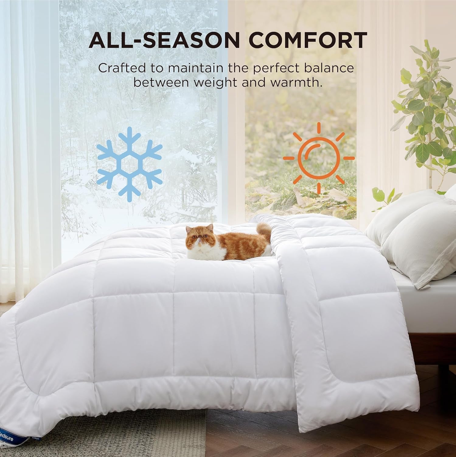 BEDSURE Trapunta Trapuntata Completo/Queen (88"X88") Bianco Piumini e Trapunte Naty Shop
