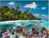 Ravensburger Puzzle 17441 Un tuffo alle Maldive - Puzzle da 2000 pezzi per adulti e bambini dai 14 anni in su Puzzle Naty Shop