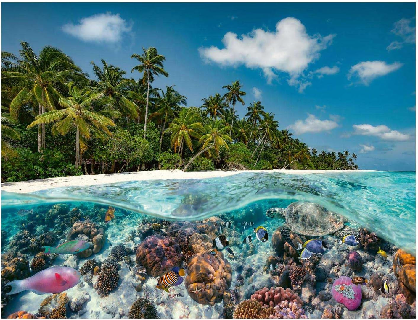 Ravensburger Puzzle 17441 Un tuffo alle Maldive - Puzzle da 2000 pezzi per adulti e bambini dai 14 anni in su Puzzle Naty Shop