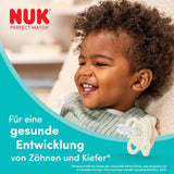 Ciucci NUK Perfect Match per neonati | 0-6 mesi | Ciucci ortodontici che favoriscono la circolazione dell'aria e prevengono la sbavatura | 95% di accettazione da parte dei bambini** | Volpe/Orsacchiotto | Confezione da 2