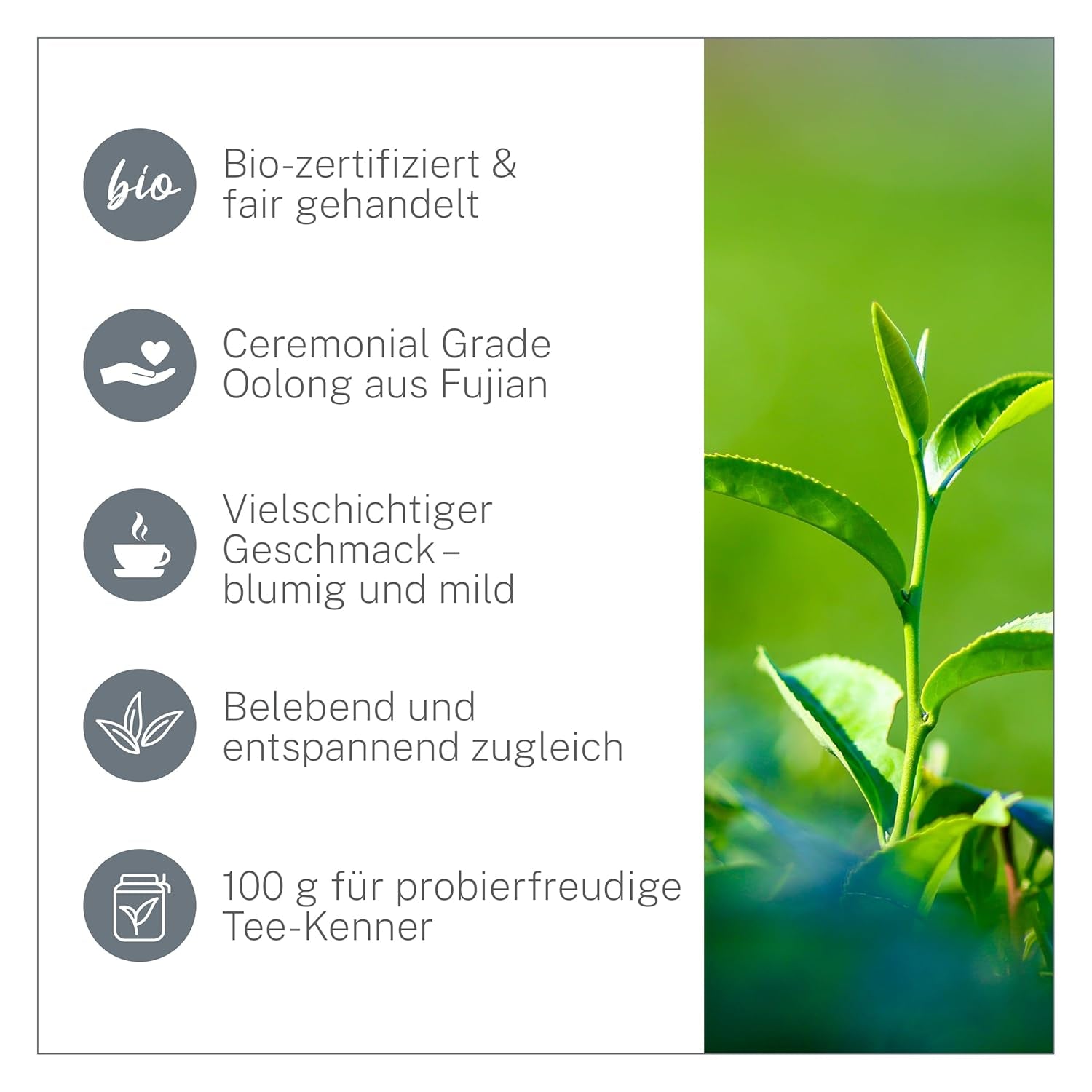 Ti Guan Yin Bio Oolong Tea 100g - Tè Oolong biologico di alta qualità dalla Cina - Wu Long (grado cerimoniale) - Per amanti e intenditori del tè - Mycupoftea