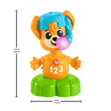 Fisher Price Animal Band Rino la Volpe Impara gli Opposti, Volpe Interattiva per Imparare attraverso il Movimento, Luci Colorate, Canzoni e Suoni, Giocattolo per Bambini, 9+ Mesi, HYL02 Giocattoli per Bambini Naty Shop