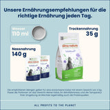 Almo Nature Functional - Intestinal Help - Alimento umido per gatti adulti e maturi con intestino sensibile - con pesce - sostiene il microbioma - 70 g (confezione da 30)