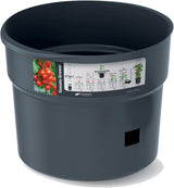 Vasi per piantine di pomodoro Prosperplast con traliccio – Robusta fioriera in plastica | Antracite | Resistente agli agenti atmosferici e ai raggi UV | 29,5 x 115,2 cm | Ideale per il giardino e il terrazzo