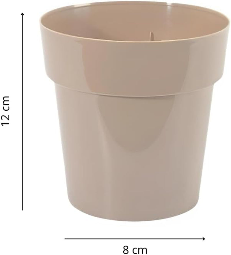 Piccolo vaso in plastica - diametro 12 cm, leggero e resistente, ideale per piantine, talee e piante d'appartamento - colore casuale, Aléatoire