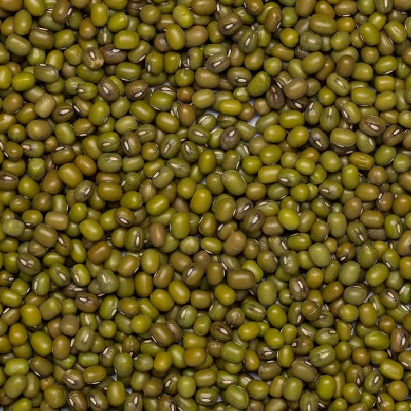 Fagioli verdi biologici Wholefood Earth 2kg | Non OGM | Vegano | Ricco di fibre | Ricco di proteine ​​| Certificato biologico