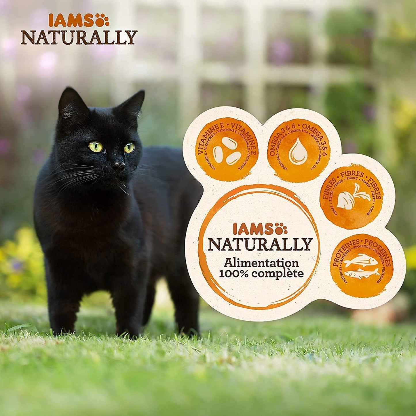 IAMS Alimento Umido Naturale per Gatti in Salsa - Alimento Umido di Alta Qualità con Pesce per Gatti Adulti, Collezione Mare, 12 x 85g