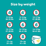 Pannolini Pampers Baby-Dry, taglia 8, 22 unità, 19 kg+