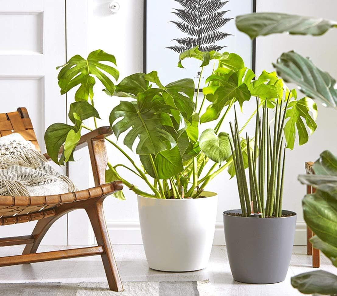 Vaso da fiori Dehner Mila con sistema di irrigazione automatica, Ø 30 cm, altezza 26 cm, plastica, bianco