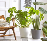 Vaso da fiori Dehner Mila con sistema di irrigazione automatica, Ø 30 cm, altezza 26 cm, plastica, bianco