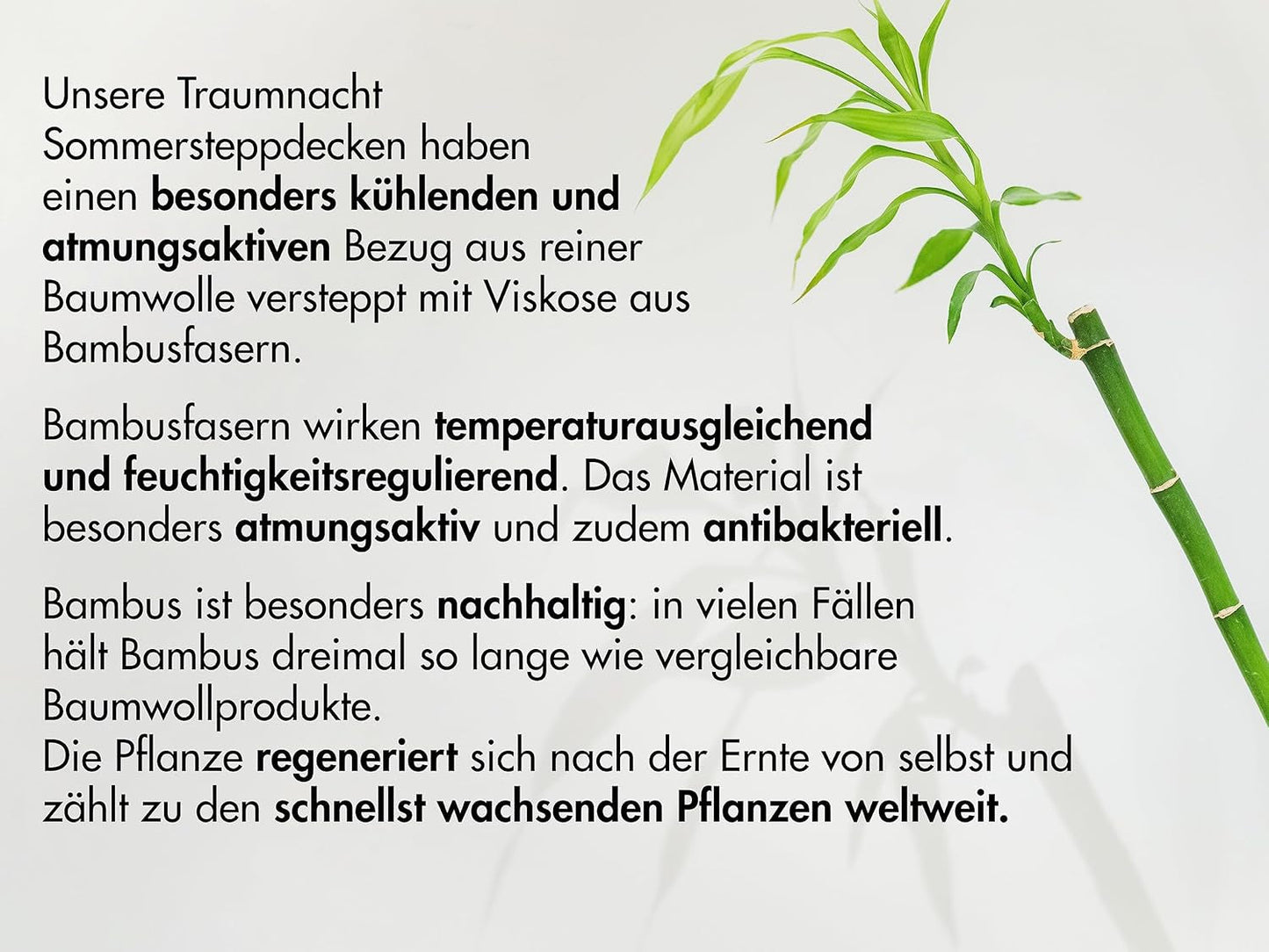 Traumnacht Cuscino Bamboo con fibre di bambù, ipoallergenico, antibatterico Set cuscini con cerniera, composto da 2 cuscini 40X80Cm, certificato Oeko-Tex, sviluppato in Germania Naty Shop cuscini standard