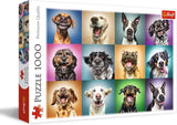 Puzzle - "1000" - Ritratti divertenti di cani Puzzle Naty Shop Ritratti divertenti di cani