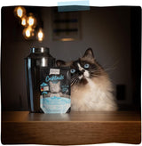 MjAMjAM - Delicious Cat Drink - Cocktails - Filetti Di Salmone Tirati, Confezione Da 20 (20x40), Senza Cereali