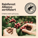di Amazon Lungo Kaffee-Kunststoffkapseln, compatibile con Nespresso, 20 pezzi, confezione con 1 – Rainforest Alliance-zertifiziert