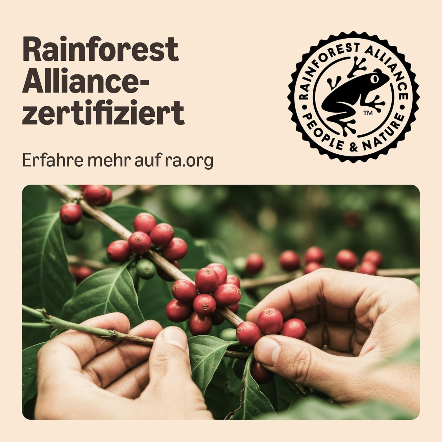 di Amazon Lungo Kaffee-Kunststoffkapseln, compatibile con Nespresso, 20 pezzi, confezione con 1 – Rainforest Alliance-zertifiziert