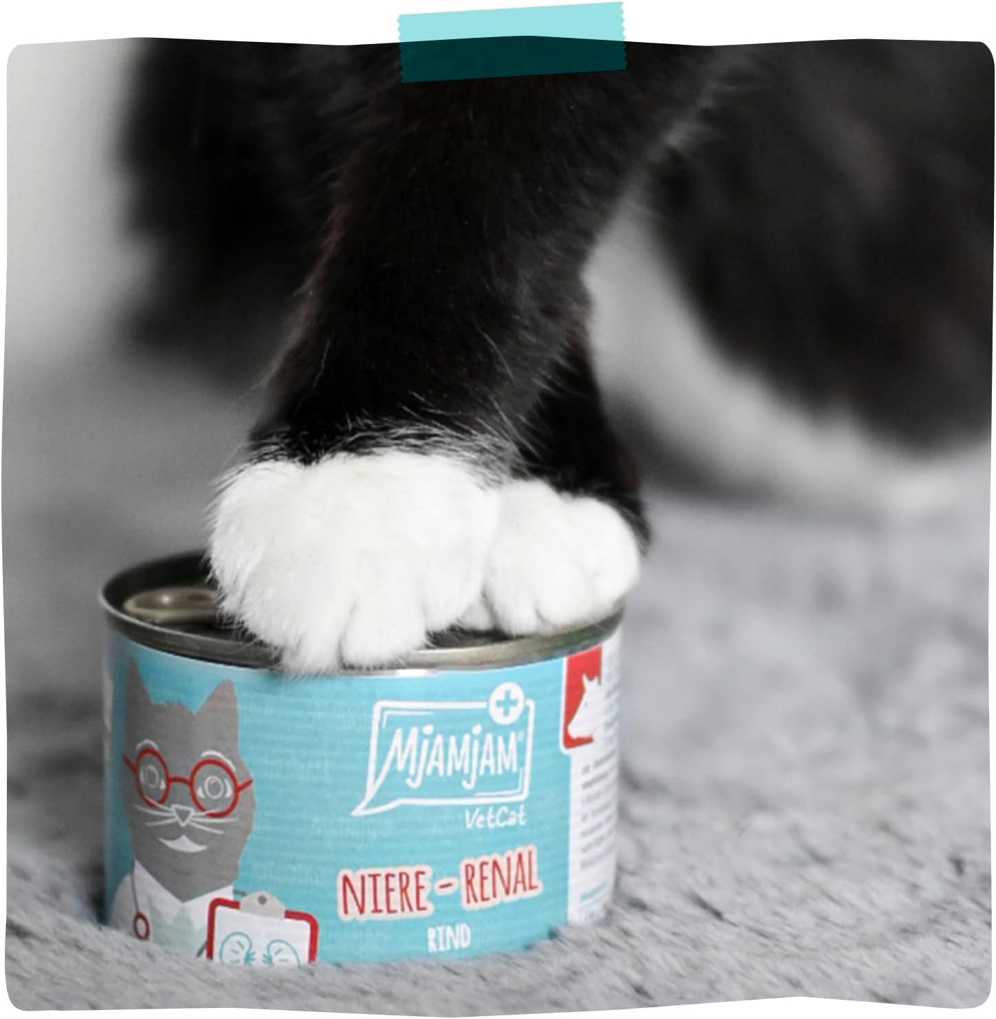 MjAMjAM VetCat - Cibo umido premium per gatti - Diet - Rene - Pollo, confezione da 6 (6 x 200 g), senza cereali