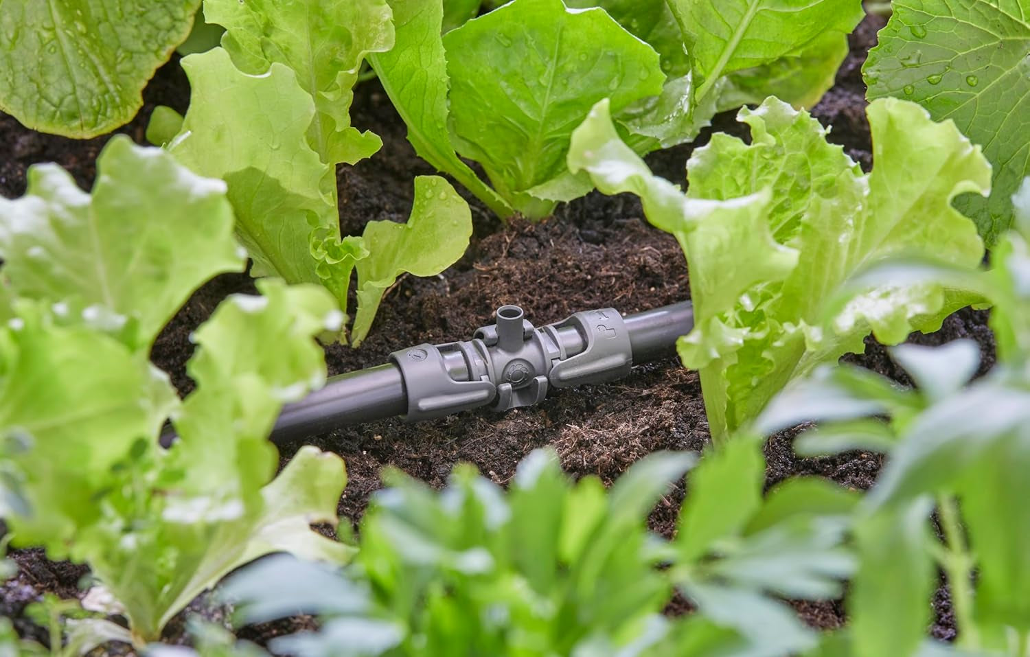 Raccordo a T Gardena Micro-Drip-System per ugelli spruzzatori: collegamento tra tubi da 13 mm e un ugello spruzzatore, irrigazione automatica delle piante, tecnologia di collegamento semplice e veloce, riutilizzabile (13206-20)