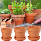 Hollyone Set di 8 fioriere piccole in terracotta, vasi rotondi in terracotta 8x8 cm con piatto e foro di drenaggio, fioriere piccole con vassoio, vasi per piante grasse in terracotta per piante da interno, fioriere in ceramica
