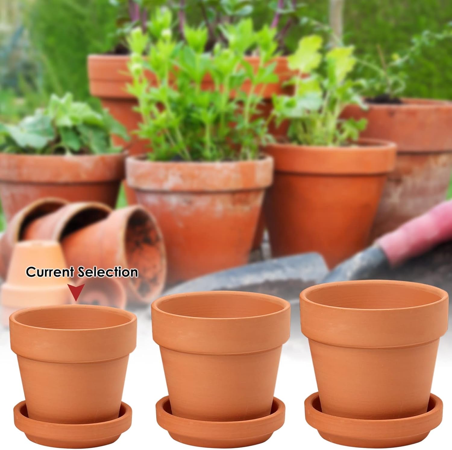 Hollyone Set di 8 fioriere piccole in terracotta, vasi rotondi in terracotta 8x8 cm con piatto e foro di drenaggio, fioriere piccole con vassoio, vasi per piante grasse in terracotta per piante da interno, fioriere in ceramica