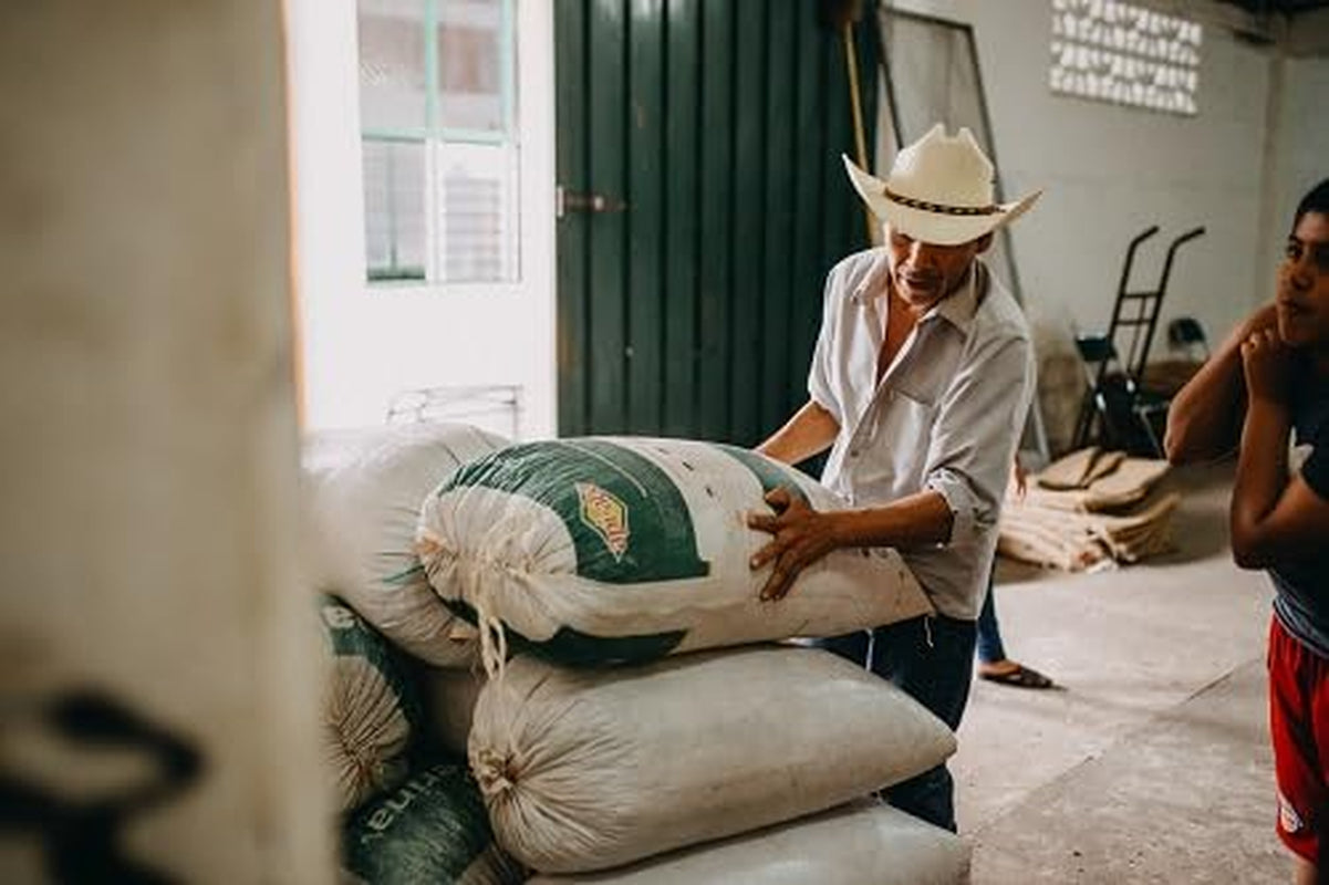 Caffè Tosepan Arabica della foresta tropicale del Messico 1000 g