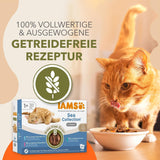 IAMS Delights Sea Collection Cibo umido per gatti senza cereali - Confezione multipla con varietà di pesce in salsa, cibo umido senza cereali per gatti a partire da 1 anno, 12 x 85 g