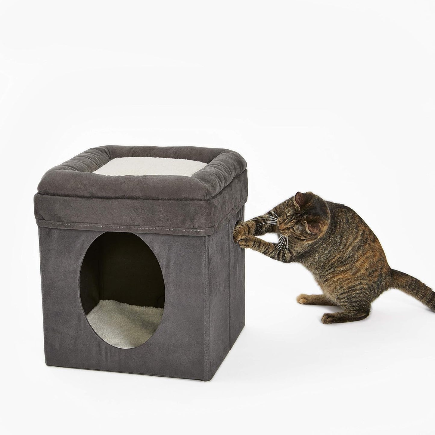 Letti e Divani, Coperte e Arredi, Animali Domestici, Gatti, Letti per gatti, Gatti - Letti, materassi