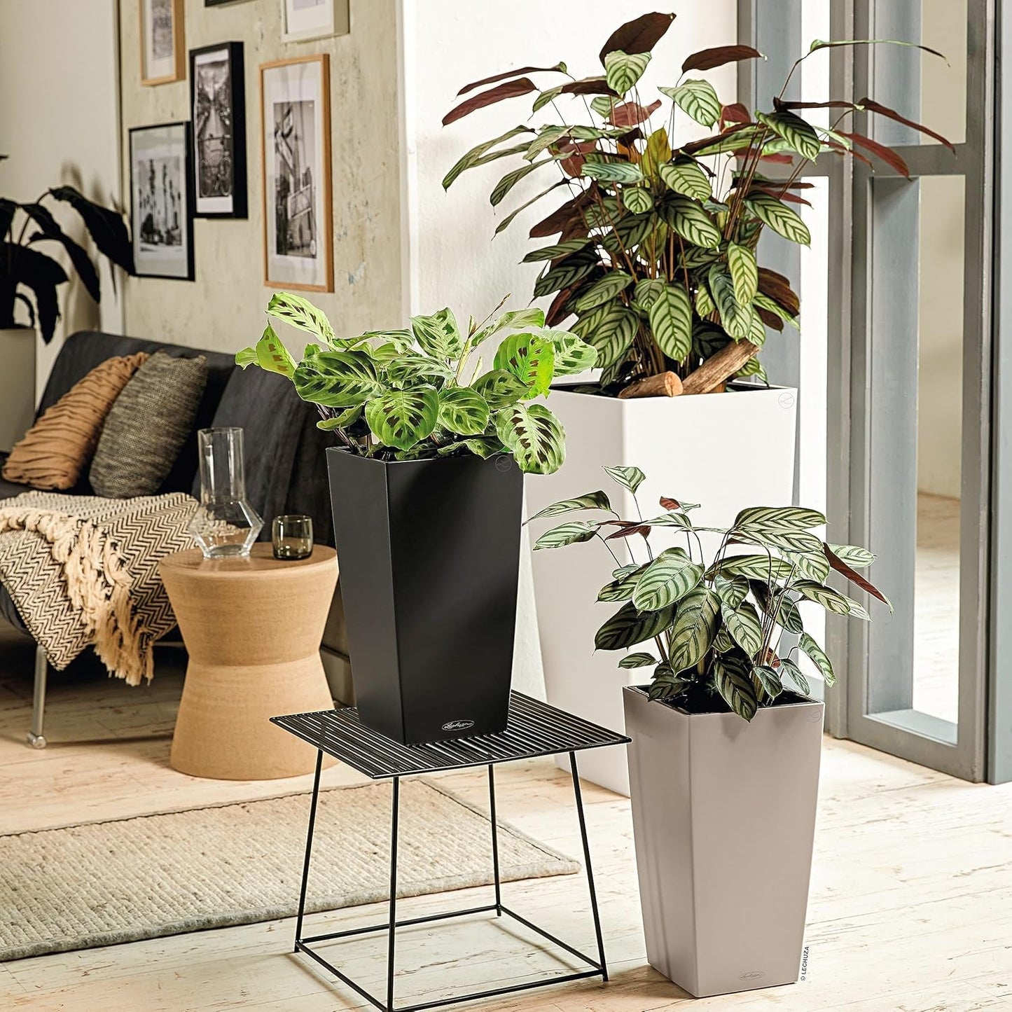 LECHUZA CUBICO Colore 30 grigio ardesia 13138, 29,5x29,5x56,5 cm