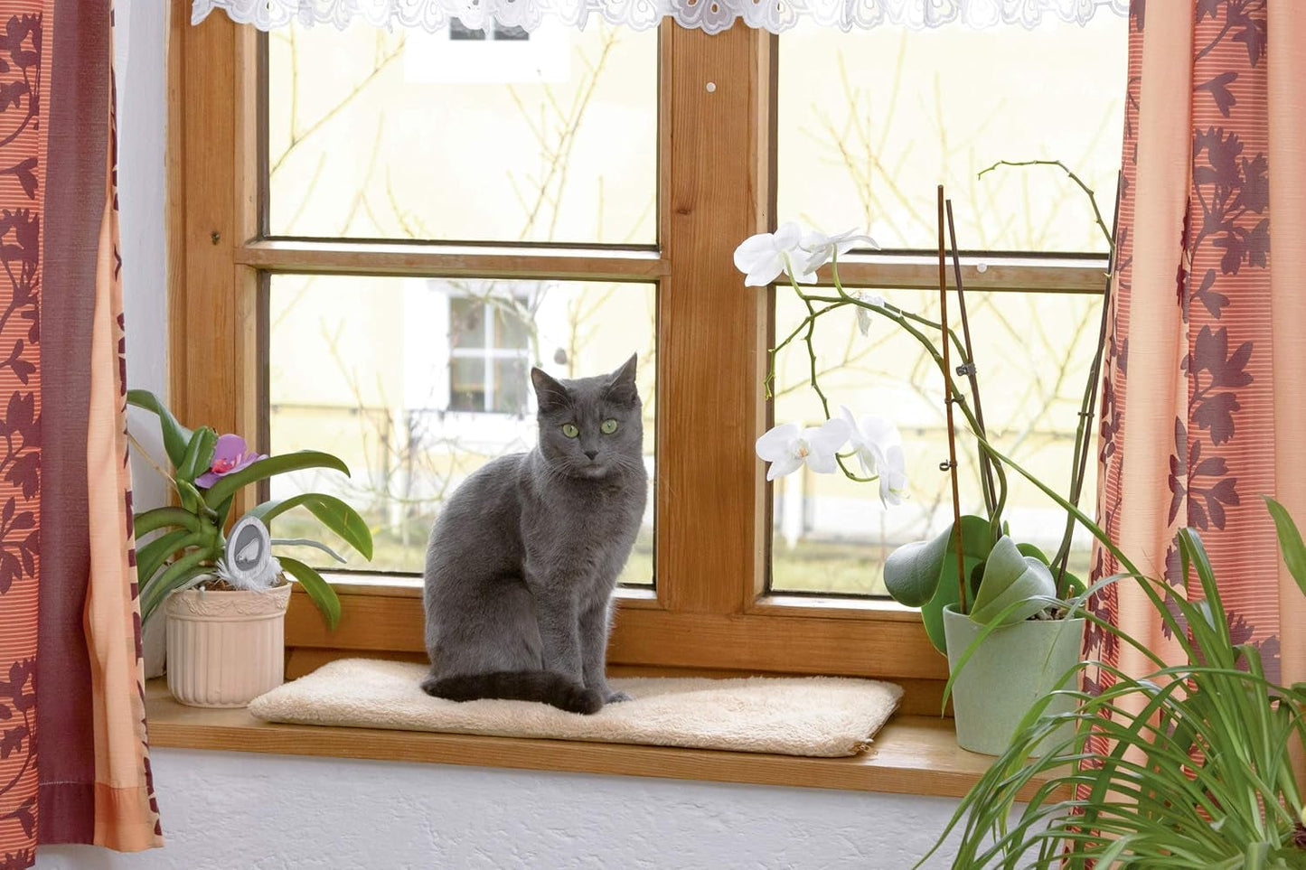 Coperte e Arredi, Animali Domestici, Gatti, Lettine per gatti, Tappetini tiragraffi, Gatti - Lettini, materassi