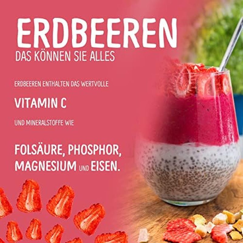 Snack di frutta biologica per bambini: 6x15g Fragole liofilizzate bio - Frutta liofilizzata - Frutta secca - Piccoli mascalzoni di NutriPur Prodotti disidratati Naty Shop