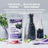 Polvere di ribes nero biologico LOOV, composta al 100% da ribes nero intero, bacche biologiche liofilizzate e in polvere, coltivate nel Nord Europa, senza zuccheri aggiunti, 113g Naty Shop Prodotti disidratati
