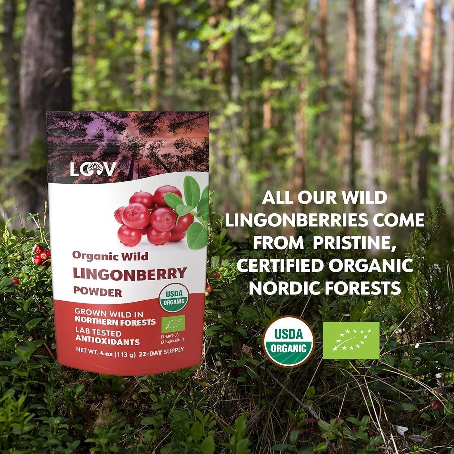 Polvere di mirtilli biologici LOOV, composta al 100% da mirtilli selvatici interi liofilizzati raccolti nelle foreste del nord Europa, 113g, senza zuccheri aggiunti Naty Shop Prodotti disidratati