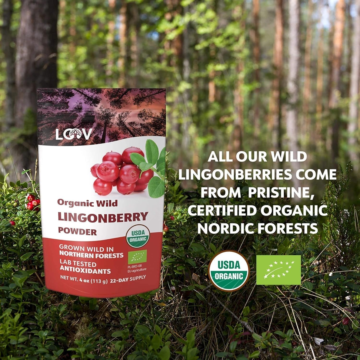 Polvere di mirtilli biologici LOOV, composta al 100% da mirtilli selvatici interi liofilizzati raccolti nelle foreste del nord Europa, 113g, senza zuccheri aggiunti Naty Shop Prodotti disidratati