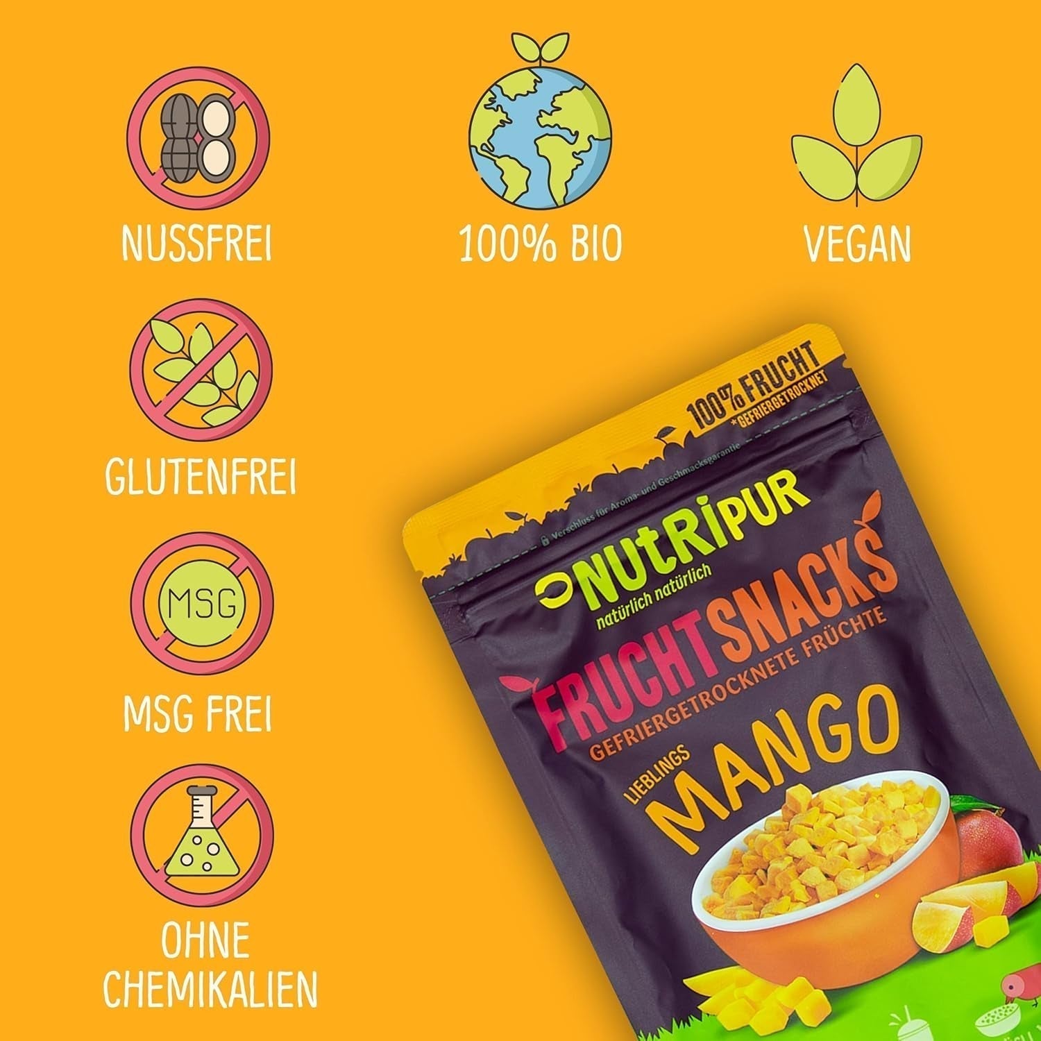 Mango liofilizzato: 100g di frutta liofilizzata da teneri pezzi di mango senza zuccheri aggiunti - mango essiccato - mango essiccato - frutta secca - frutta secca di NutriPur Prodotti disidratati Naty Shop