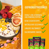 Mango liofilizzato: 100g di frutta liofilizzata da teneri pezzi di mango senza zuccheri aggiunti - mango essiccato - mango essiccato - frutta secca - frutta secca di NutriPur Prodotti disidratati Naty Shop