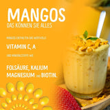 Mango liofilizzato: 100g di frutta liofilizzata da teneri pezzi di mango senza zuccheri aggiunti - mango essiccato - mango essiccato - frutta secca - frutta secca di NutriPur Prodotti disidratati Naty Shop