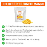 Mango liofilizzato, 250g frutta liofilizzata, senza additivi, fruttato, made in Germany Prodotti disidratati Naty Shop