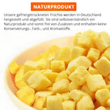 Mango liofilizzato, 250g frutta liofilizzata, senza additivi, fruttato, made in Germany Prodotti disidratati Naty Shop
