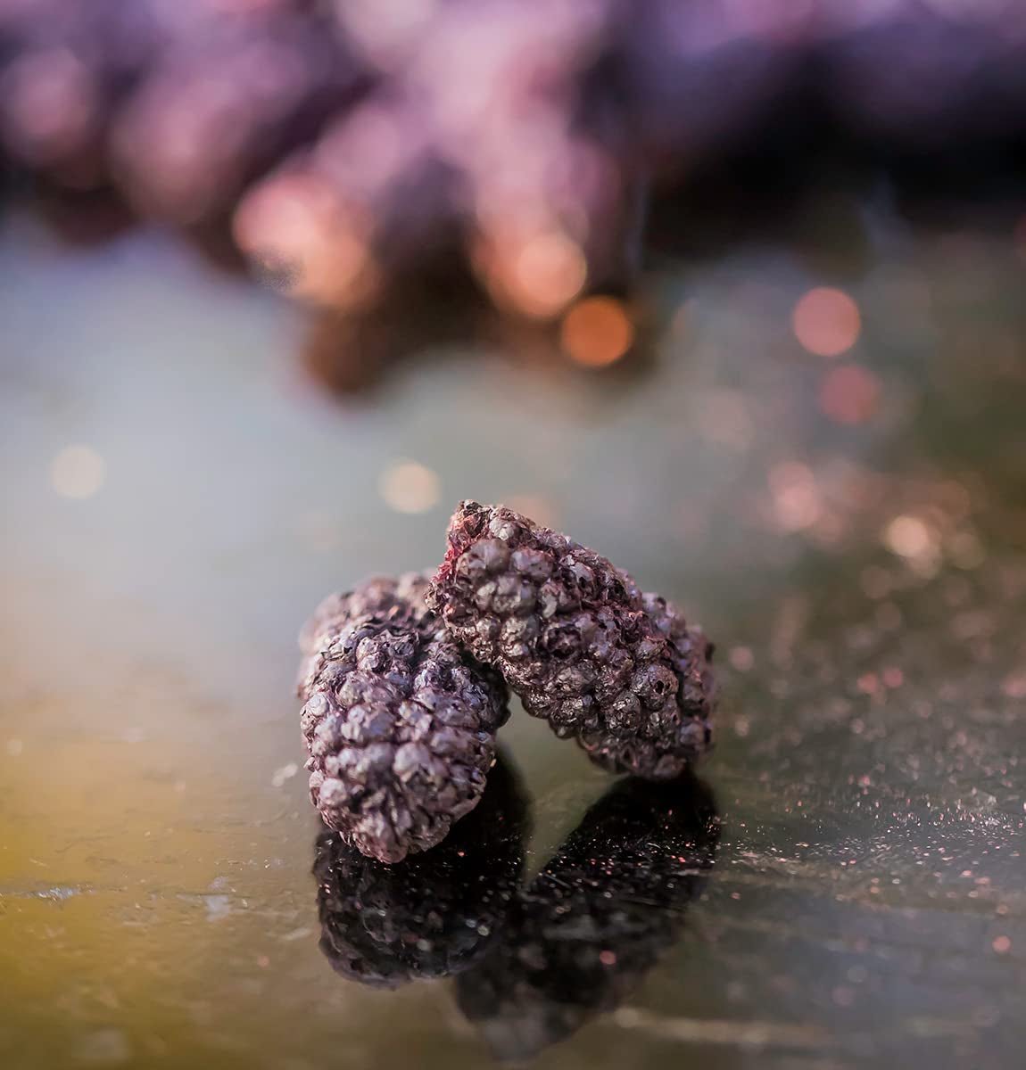 Mora BRIX | More secche al naturale 95 g | Premio Gran Gusto per la Frutta Secca | Prodotti disidratati Naty Shop, senza OGM, senza glutine, vegani e con vitamine conservate