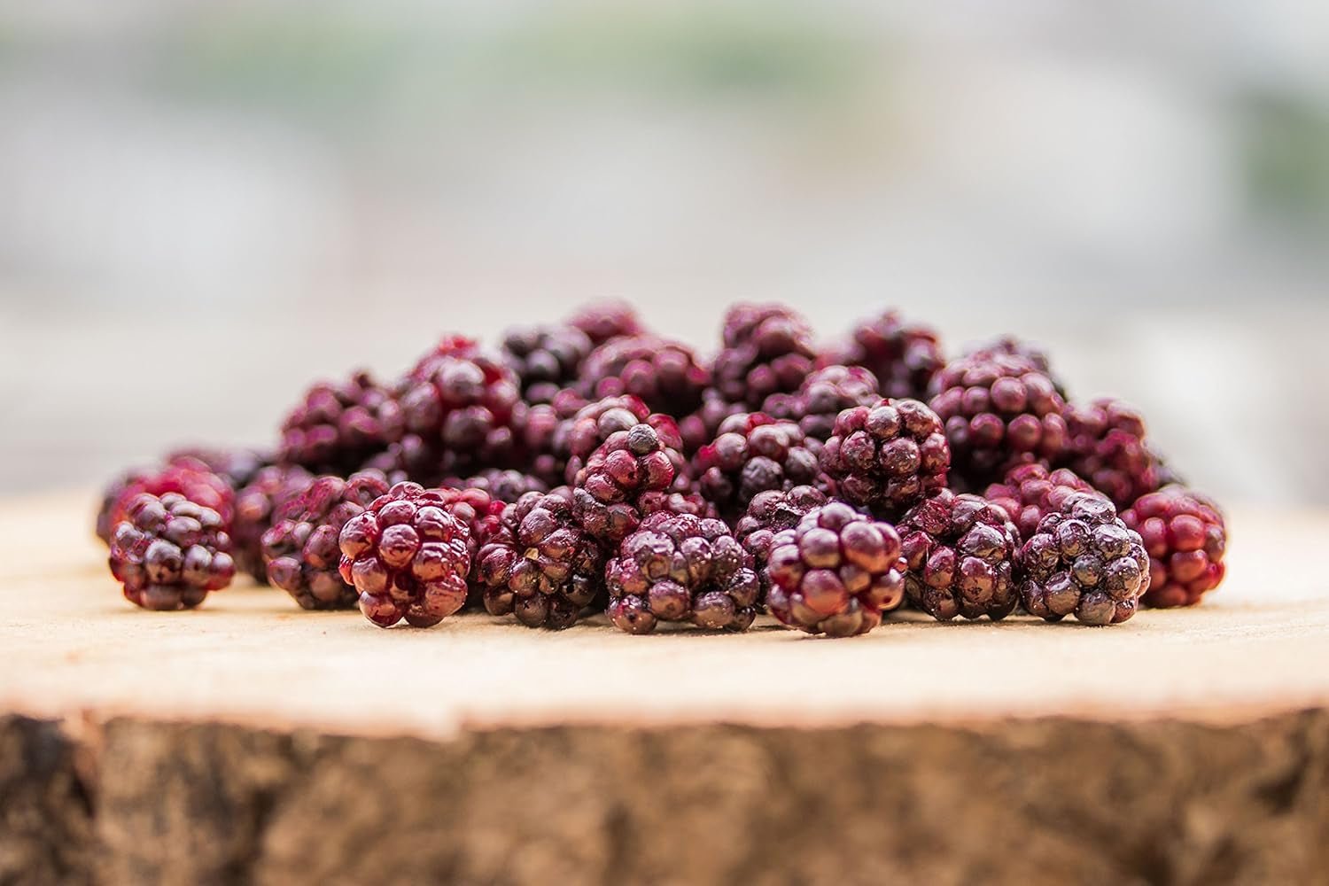 More selvatiche BRIX | More selvatiche al naturale, essiccate 95 g | Premio Gran Gusto per i frutti di bosco essiccati | Prodotti disidratati Naty Shop, senza OGM, senza glutine, vegani e con vitamine trattenute