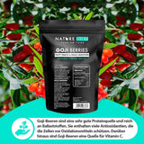 Nature Diet - Bacche di Goji 1000 g | Bacche secche | Snack salutare Naty Shop prodotti disidratati