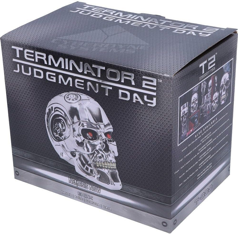 Nemesis Now, Scatola a T, 18 cm, Argento, Resina, Taglia Unica Statuette e Sculture Naty Shop