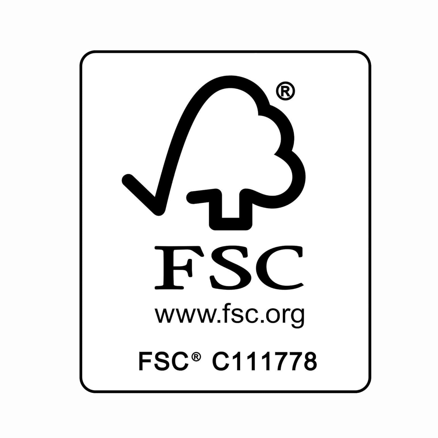 PARSA Beauty spazzola per capelli per bambini con pelo di capra - spazzola per capelli per bambini in legno di faggio certificato FSC® - spazzola per la cura dei peli fini di bambini - spazzola per bambini Bambini - Bagno e cura della pelle Naty Shop