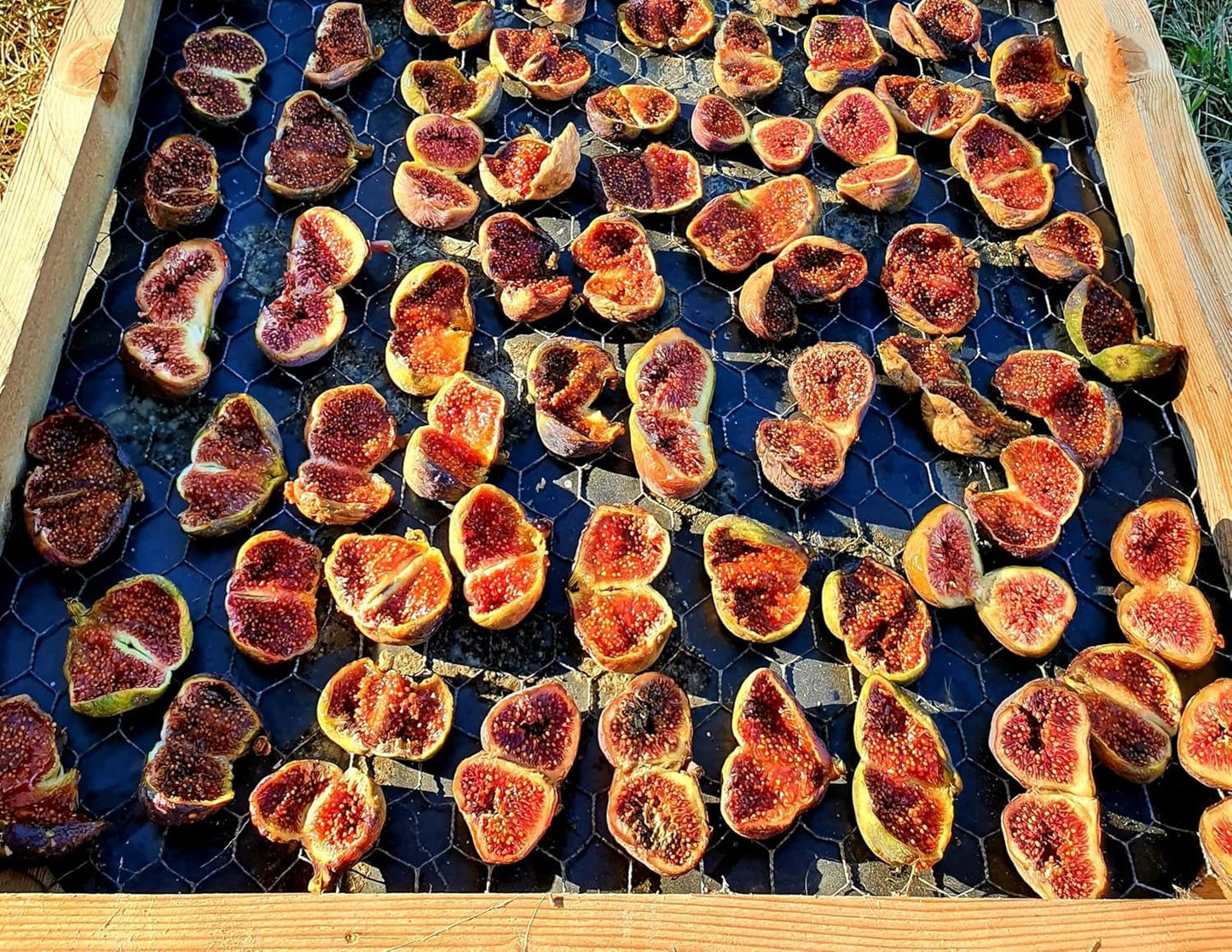 Fichi secchi Mundo Feliz da agricoltura biologica, 2 x 500 g di prodotti disidratati Naty Shop