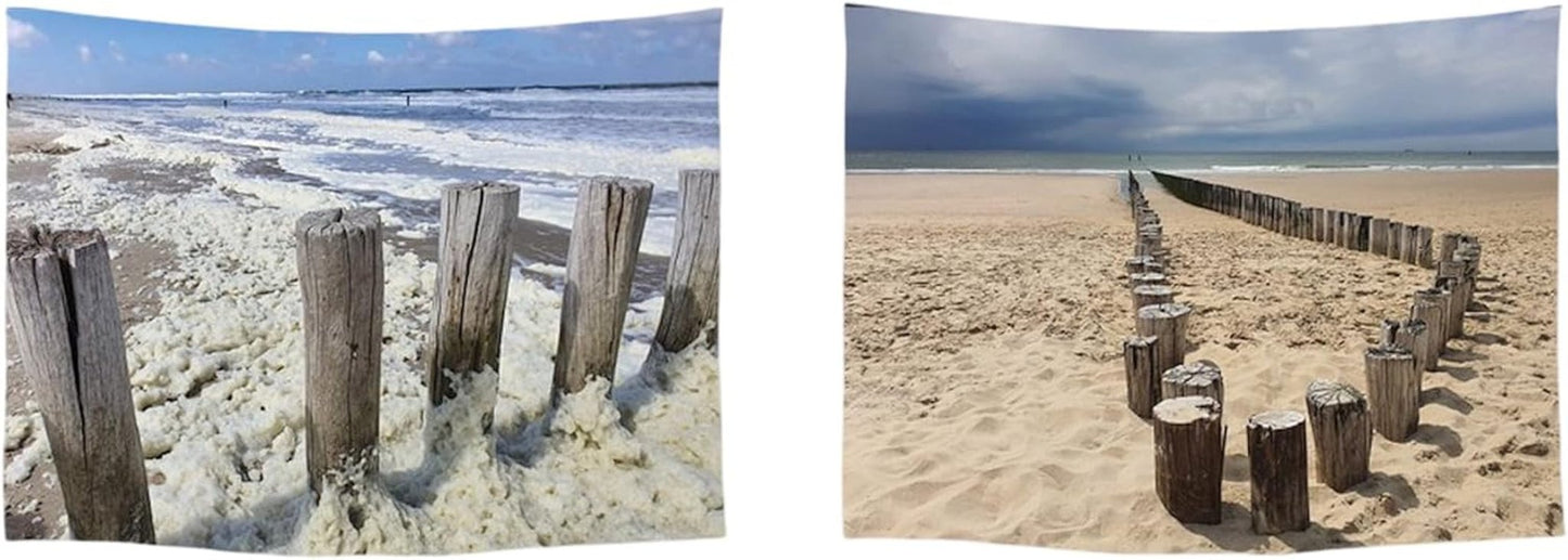 Arazzo Ulticool House Beach Sea Palm Island House - Accessori e Decorazioni Naty Shop Beach Coast