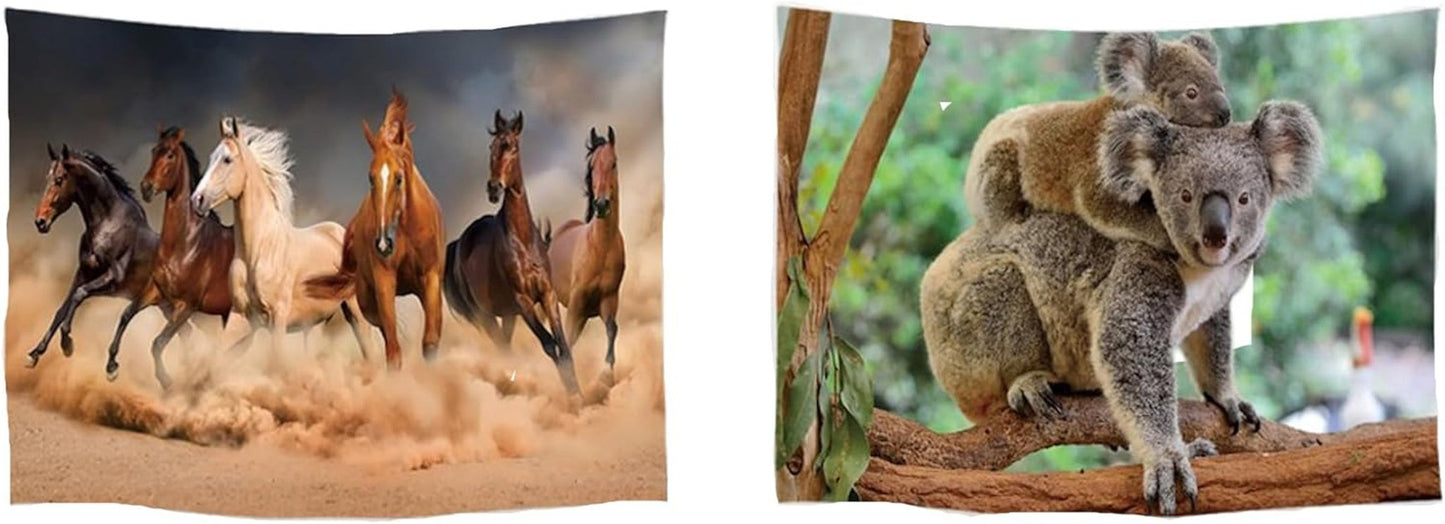 Arazzo Ulticool Casa Spiaggia Mare Palma Isola Home - Accessori e Decorazioni Naty Shop Koala Horses