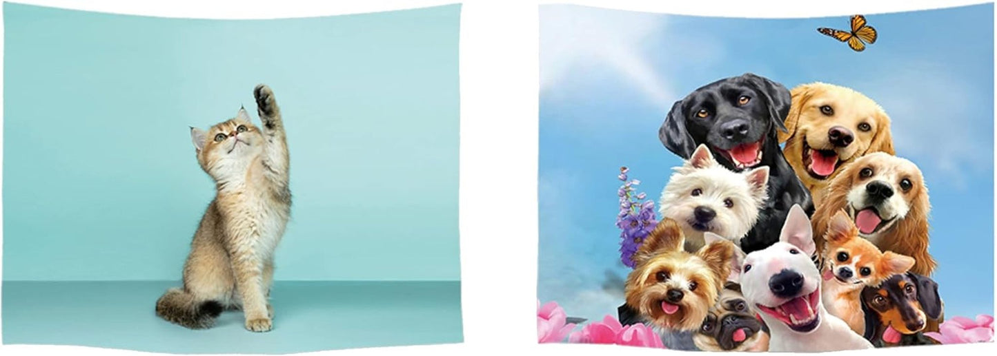 Arazzo Ulticool Casa Spiaggia Mare Palma Isola Home - Accessori e Decorazioni Naty Shop Cane Gatto