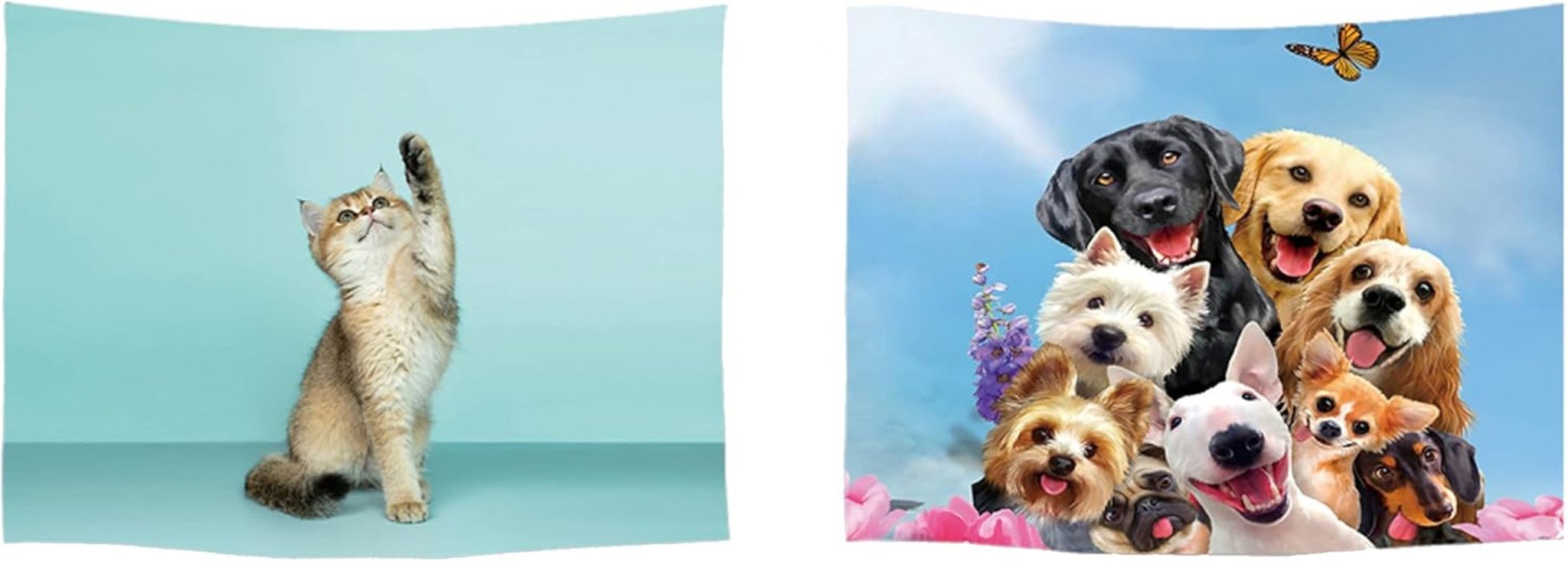 Arazzo Ulticool Casa Spiaggia Mare Palma Isola Home - Accessori e Decorazioni Naty Shop Cane Gatto
